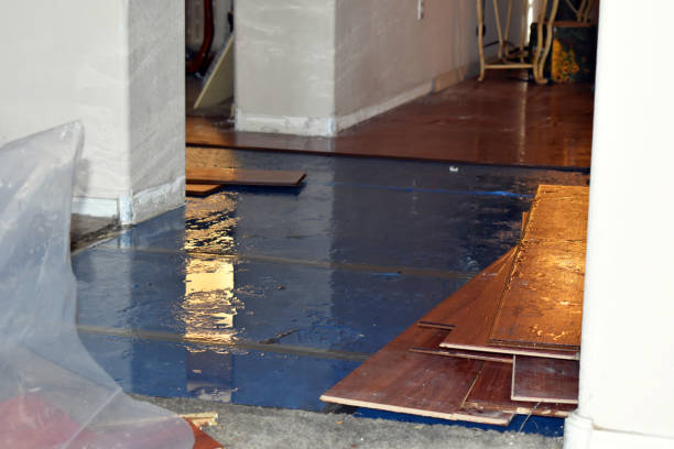 Professional Water Extraction technician working in Bellville, TX